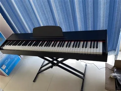 Insiderinformationen über den Domestic Digital Piano Circle, die Sie vielleic...